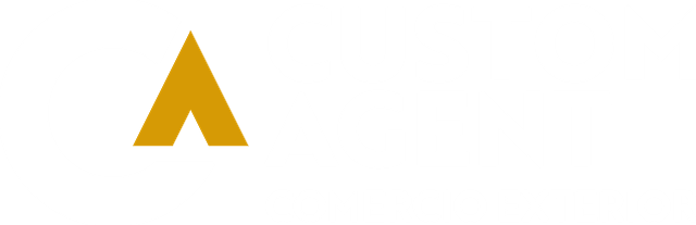 Custom Agent — comercio exterior